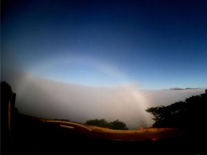 Fog Bow