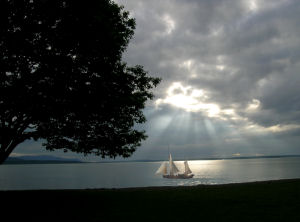 Viking Rays