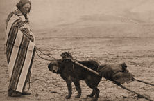 Indian Dog and Travois Indian Dog and Travois