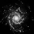 [M74]