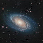 [M81]