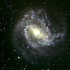 [M83]