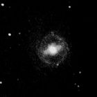 [M95]