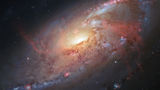 Image of Stars