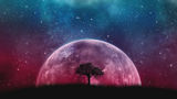 Image of Stars